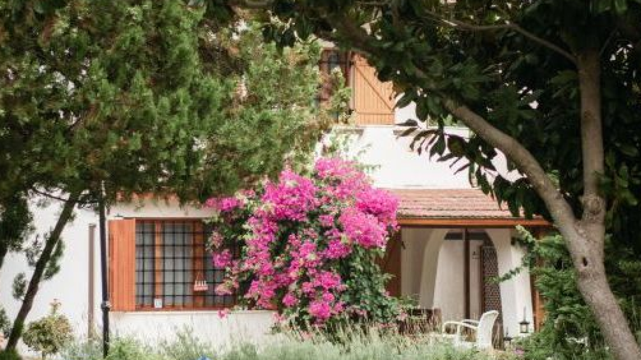 Siccità prolungata: guida all’irrigazione intelligente per salvare il verde di casa