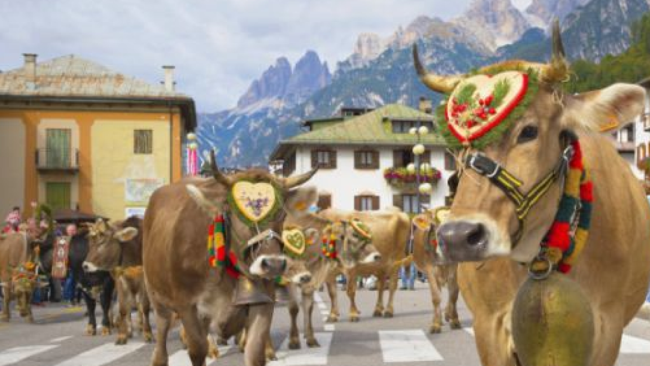 Estate 2026 nel cuore delle Dolomiti: tra avventure ad alta quota e cultura