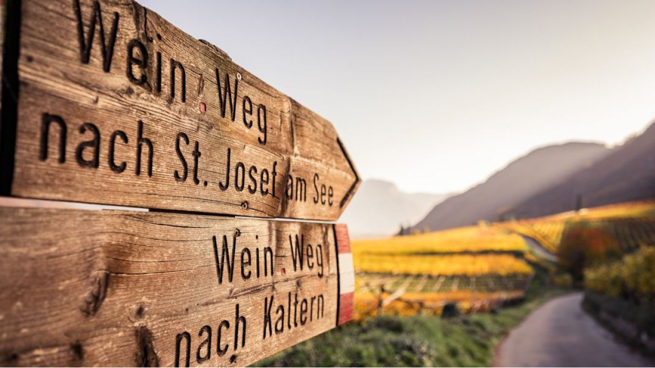 A Caldaro l'estate profuma di vendemmia: l'esperienza di Goldengel Suites tra vigneti e meleti dell'Alto Adige