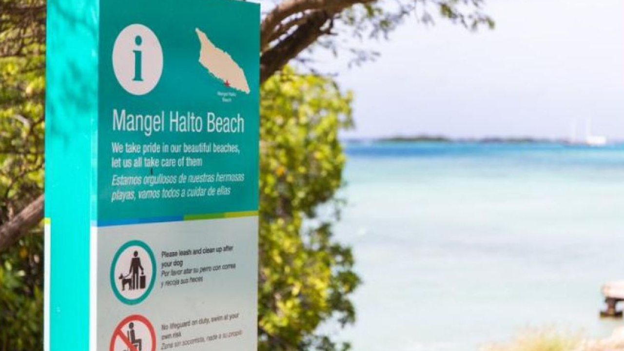 Estate ad Aruba: guida pratica per vivere la costa caraibica nel rispetto dell'isola
