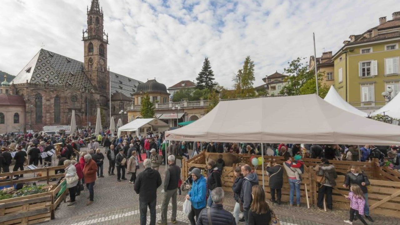 Bolzano si prepara alla Festa del Ringraziamento con le eccellenze di Gallo Rosso