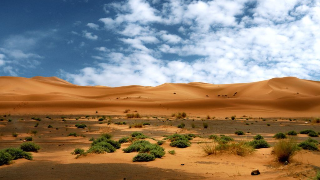 Algeria, tra deserto, oasi e antiche città romane con I Viaggi di Giorgio