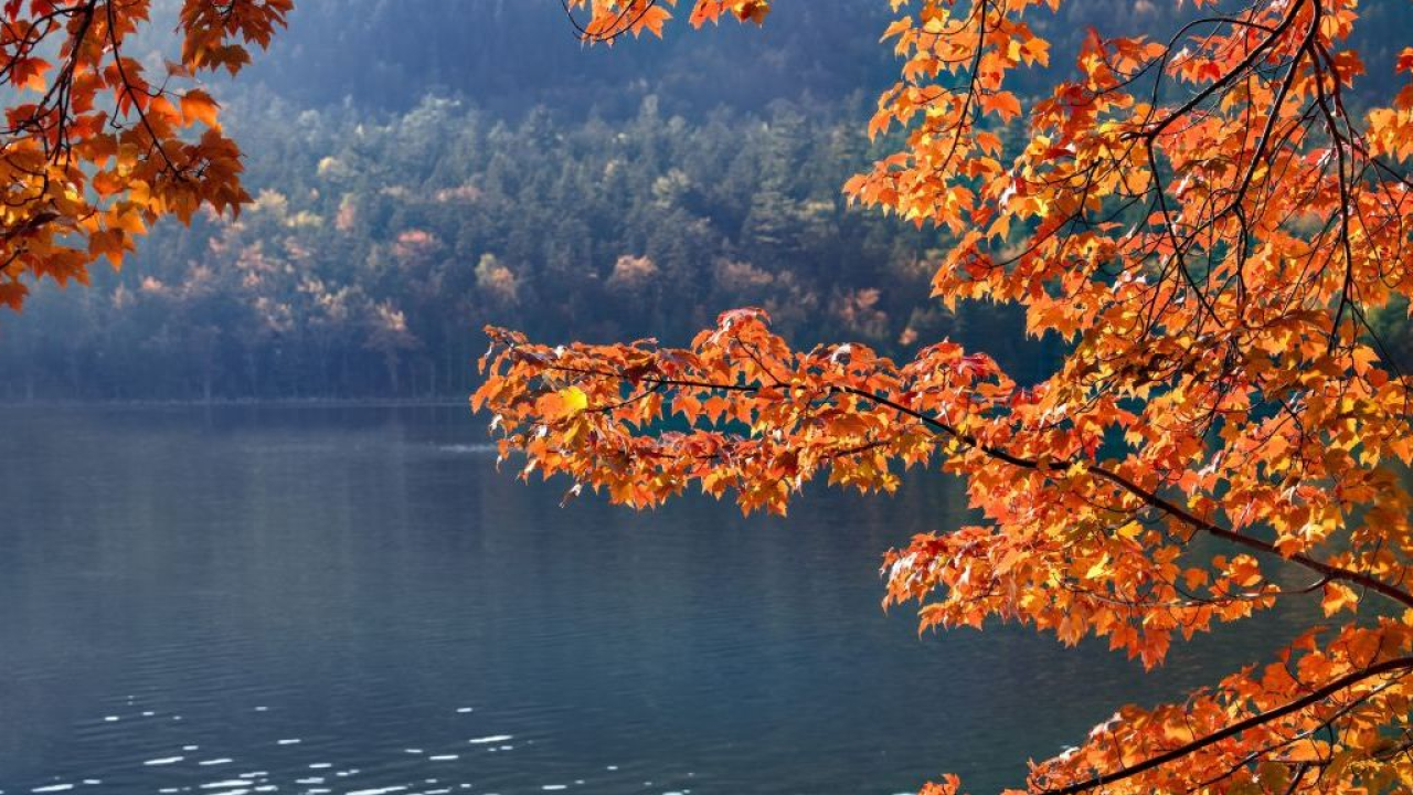 Tre Cime Dolomiti in autunno: foliage, laghi alpini e percorsi slow tra Auronzo e Misurina