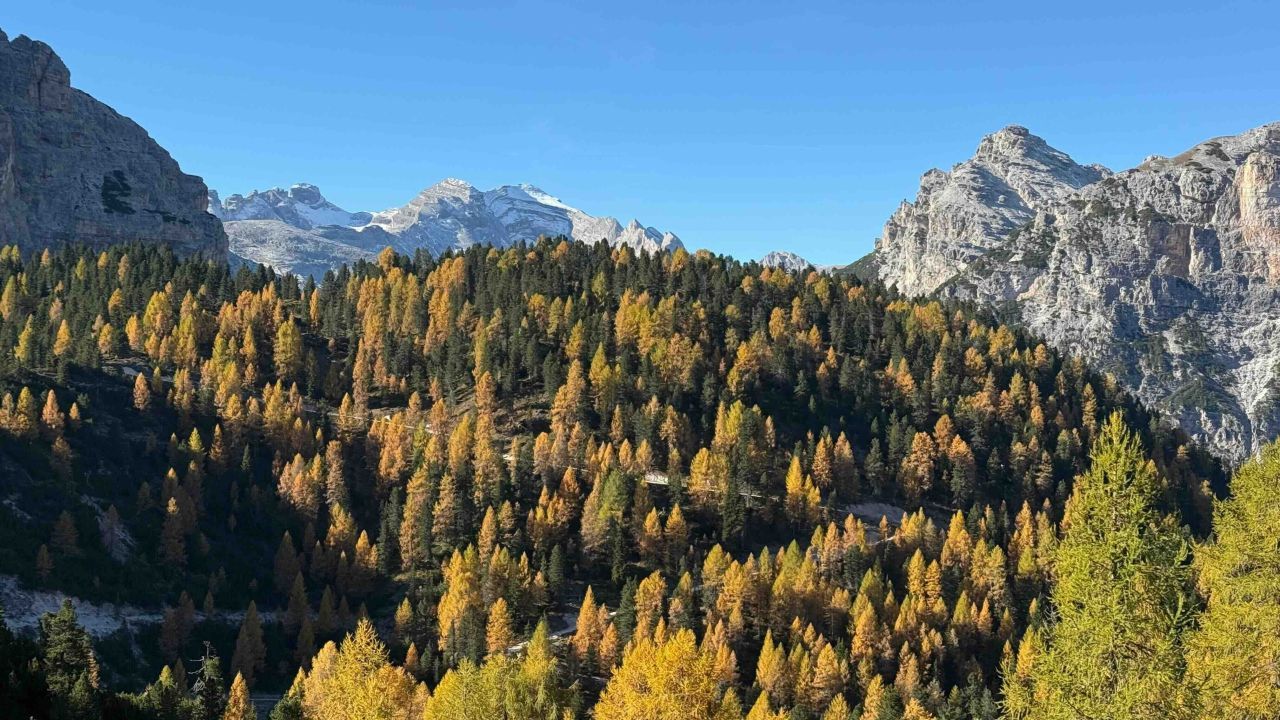 Autunno a Corte delle Dolomiti: tra foliage, sagre di tradizione e un viaggio nella preistoria alla scoperta dei dinosauri
