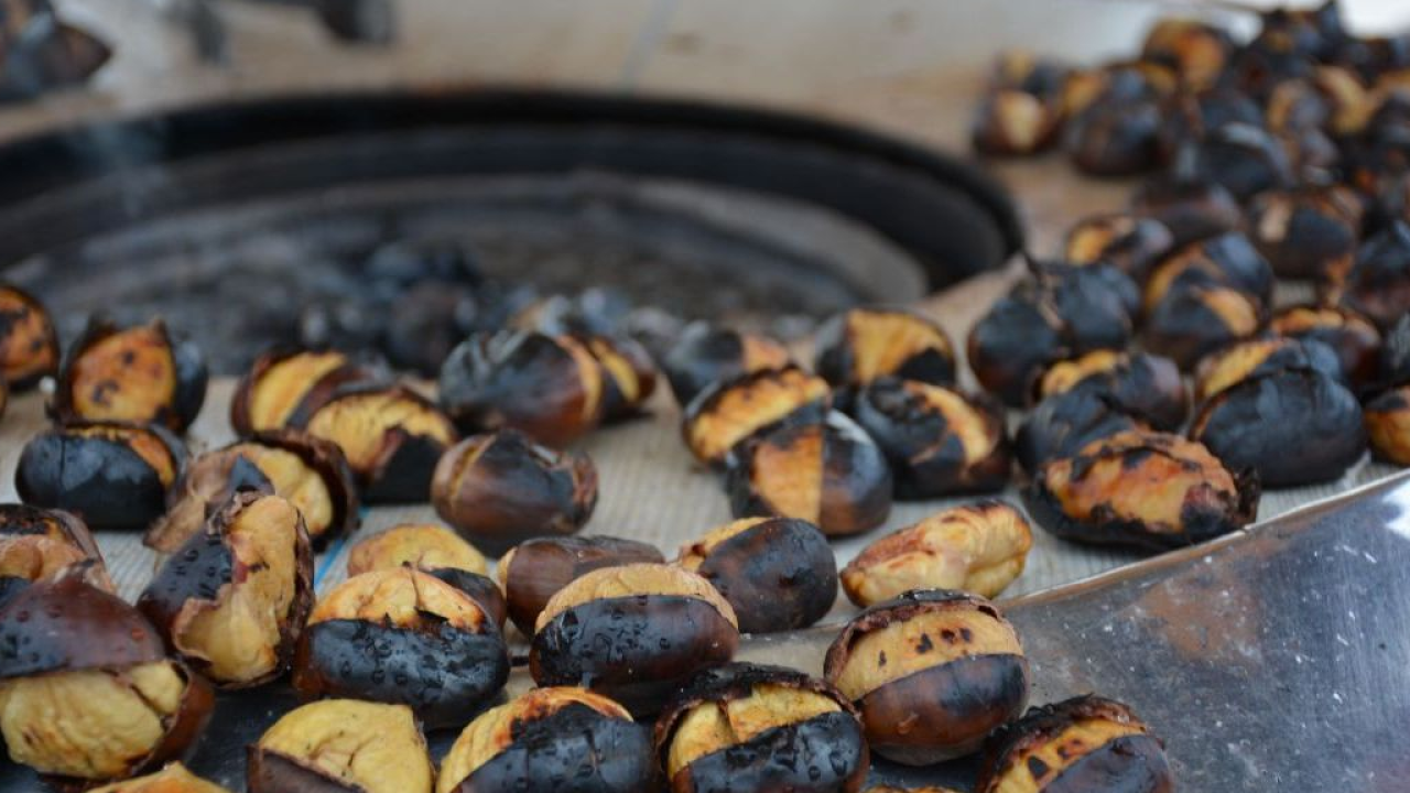 Il Törggelen originale di Gallo Rosso tra castagne, vino nuovo e tradizioni autunnali