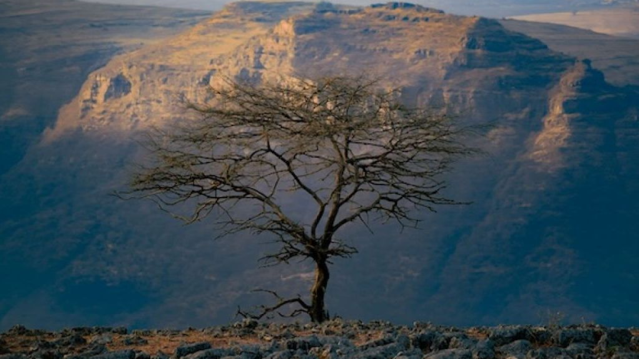 Alla scoperta dell’Eritrea autentica: un viaggio straordinario tra storia coloniale, meraviglie archeologiche e mari incontaminati