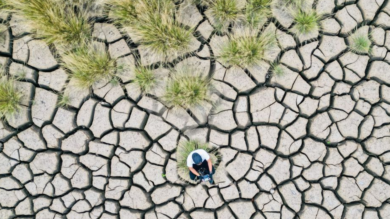 Nove italiani su dieci hanno affrontato eventi climatici estremi negli ultimi cinque anni secondo dossier WWF
