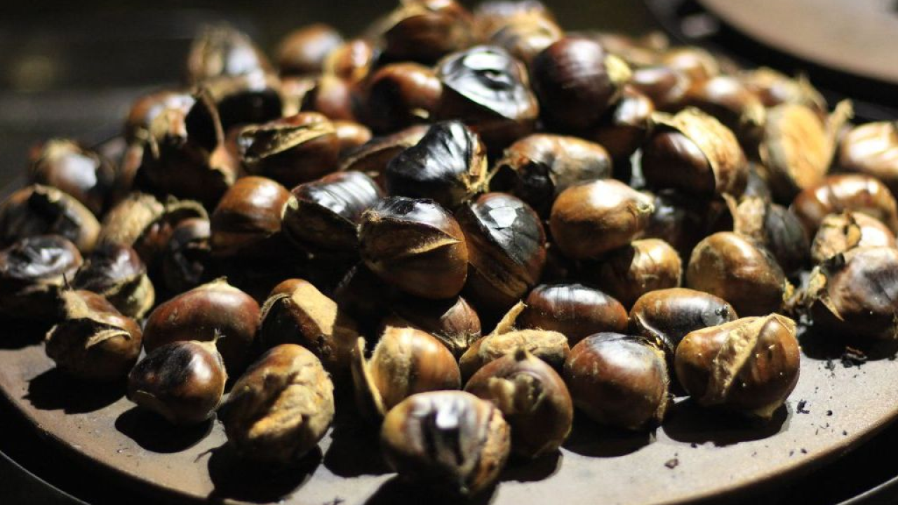 Settimana delle Castagne all'Isola d'Elba: dal 18 al 25 ottobre 2026