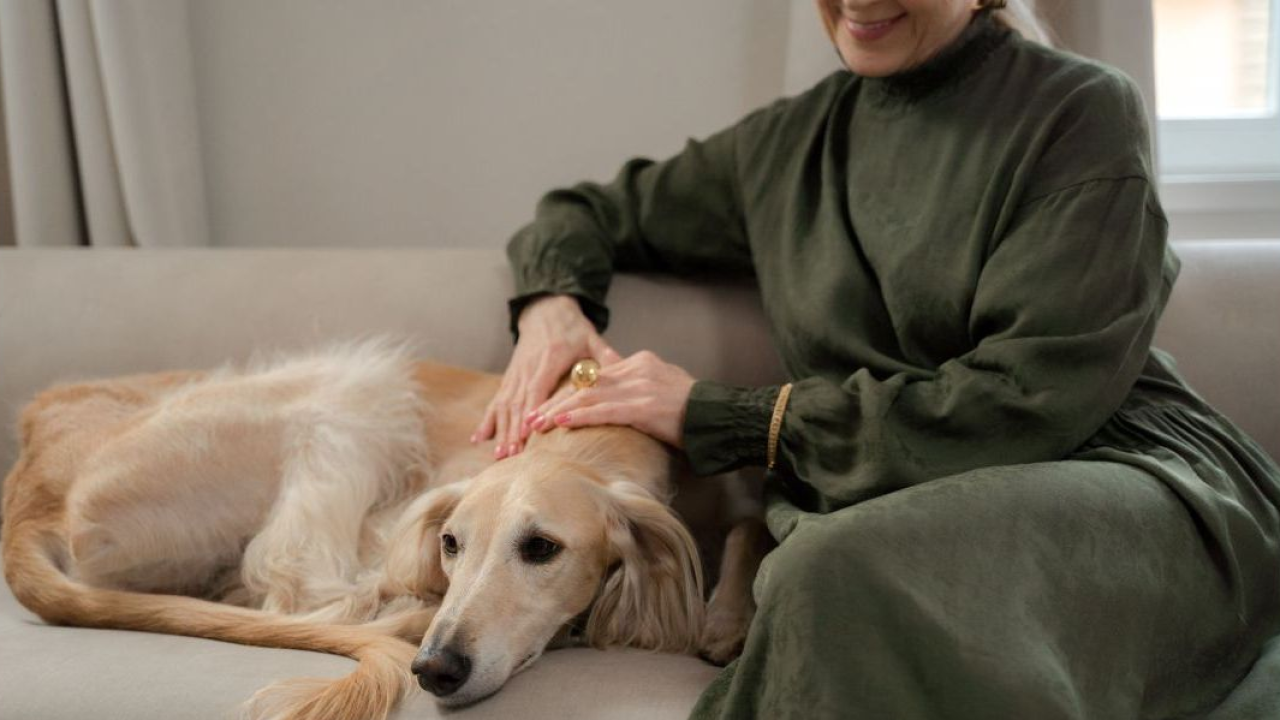 Animali domestici e benessere mentale: il 94% degli italiani riconosce l'impatto positivo di cani e gatti