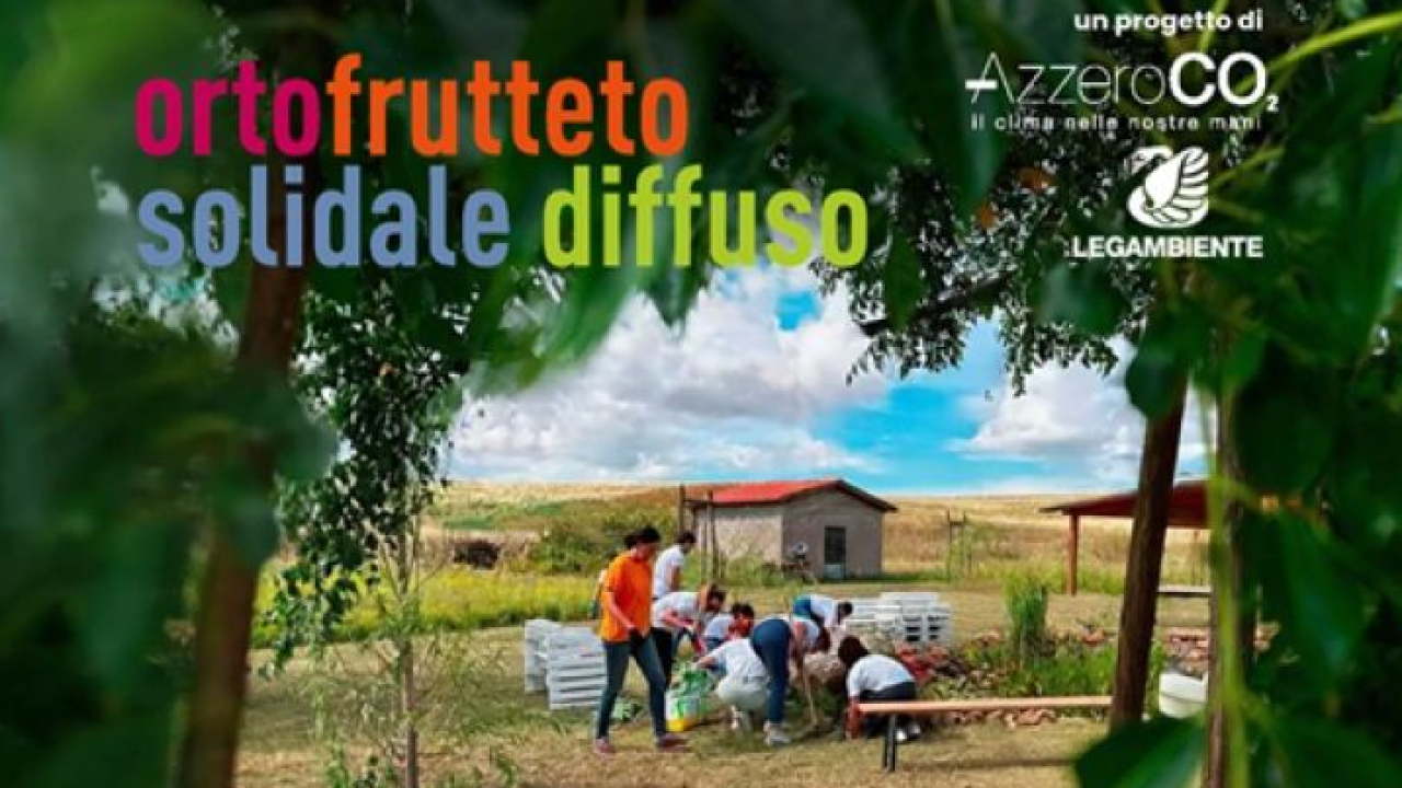 Despar lancia 7 nuovi ortofrutteti solidali in Italia per promuovere inclusione e sostenibilità sociale