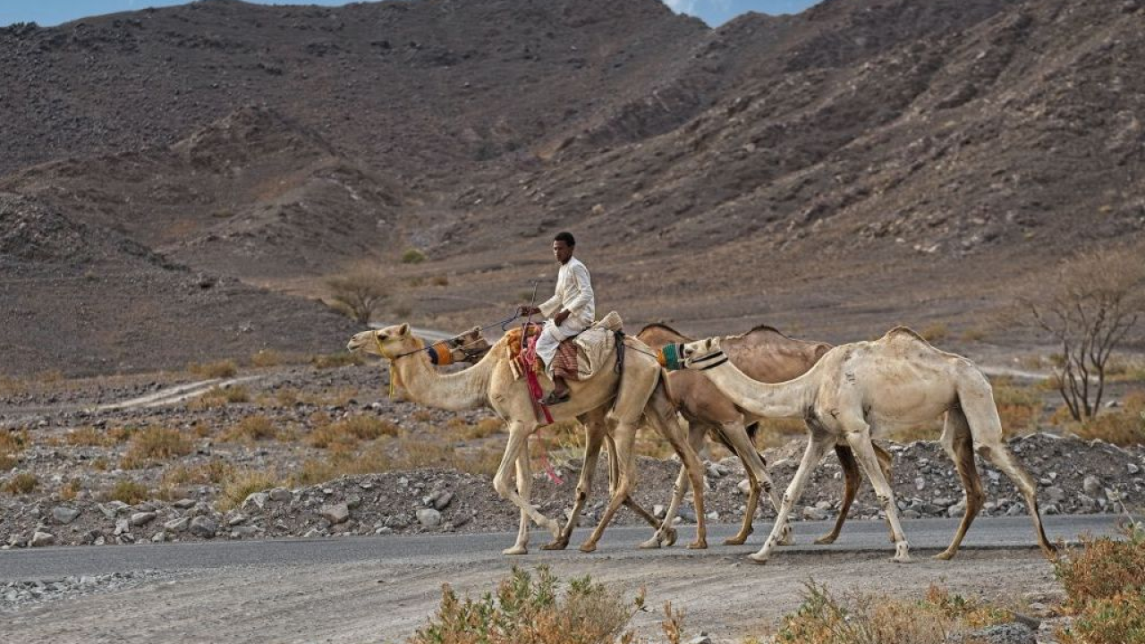 Viaggio in Eritrea: dalle architetture di Asmara al paradiso inesplorato delle isole Dahlak