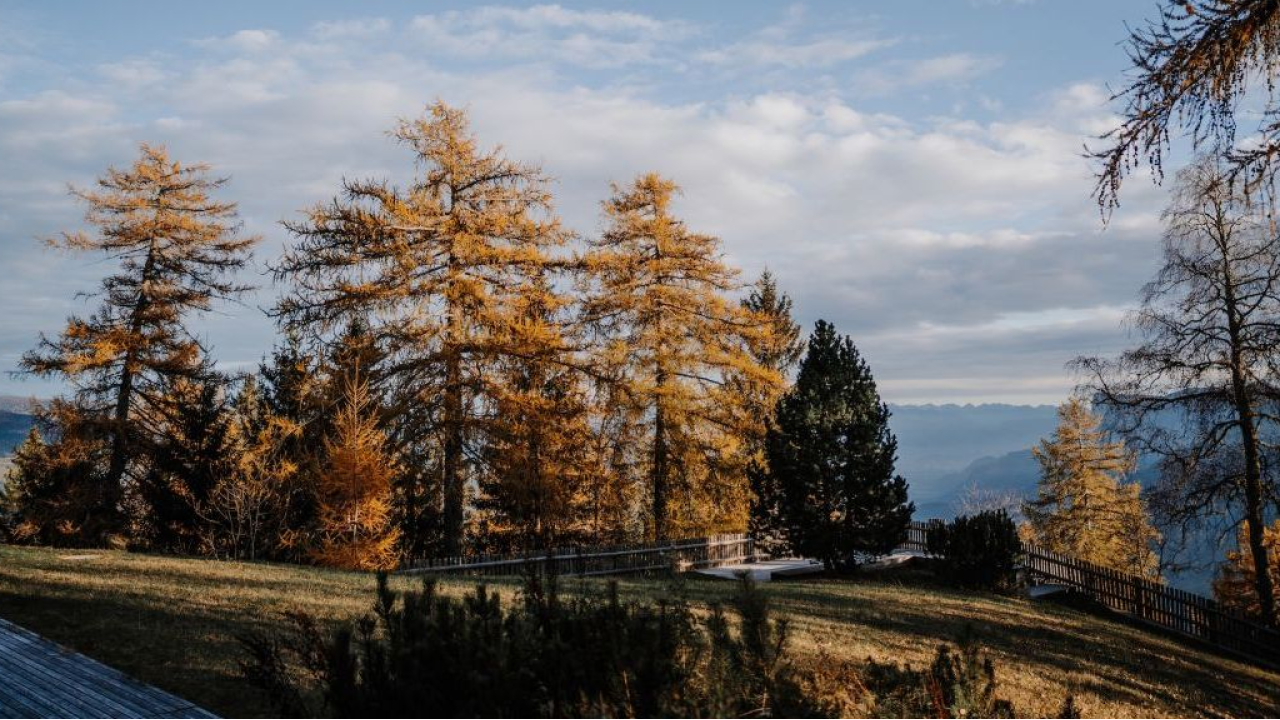 Autunno al vigilius mountain resort: tra lo spettacolo dei larici dorati e le eccellenze dell'Erntedankfest altoatesina