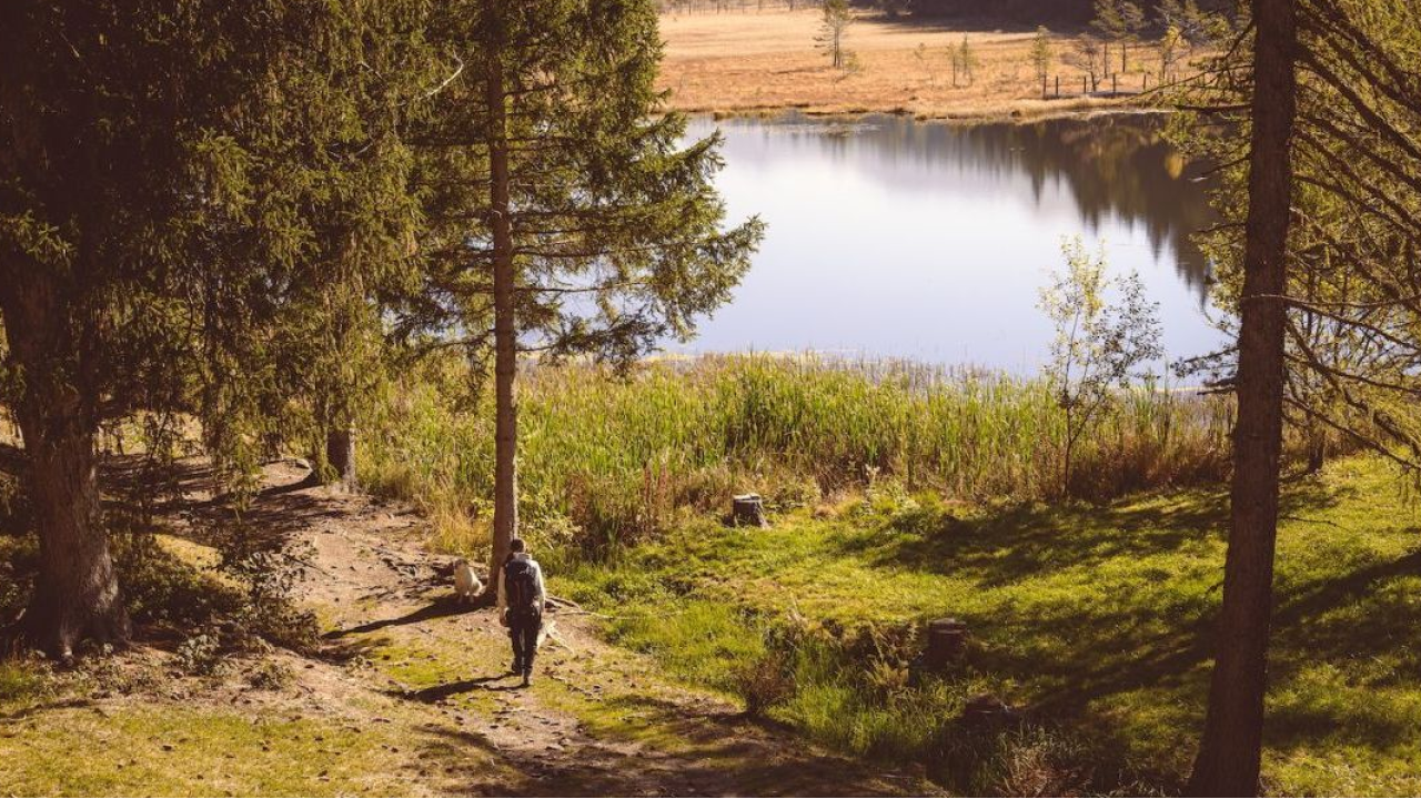 I colori della Valtellina: undici sentieri e passeggiate intorno ai laghi per vivere la magia del foliage